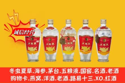 保定市竞秀回收老五粮液