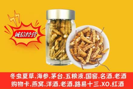 保定市竞秀回收散虫草